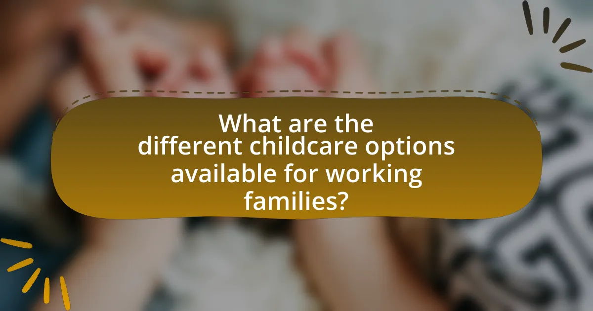 What are the different childcare options available for working families?